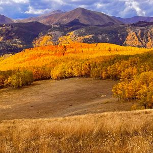 Image post by @9newsdenver on Instagram