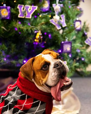 Image post by @westerniluniv on Instagram