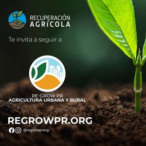 Image post by @recuperacionagricola on Facebook