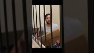 Video post by @guzmangonzalez on YouTube