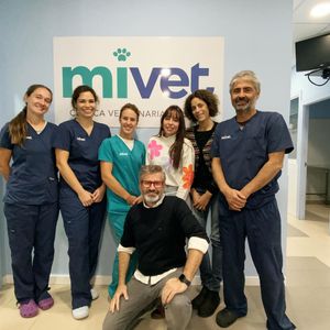 Image post by @vetconejero on Instagram