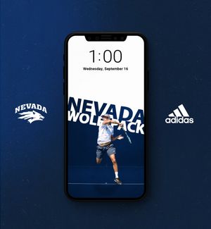 Image post by @NevadaMTEN on Twitter