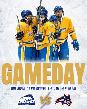 Image post by @hoficehockey on Instagram