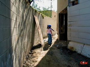 Image post by @cowmissing on Instagram