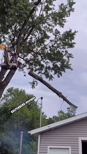 Video post by @kulpenberg_designs on Instagram