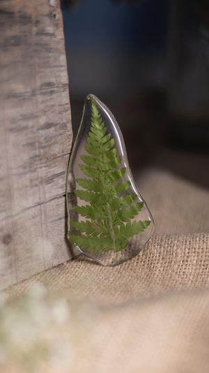 Video post by @leafyaffair on Instagram