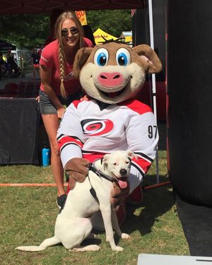 Image post by @canes on Instagram