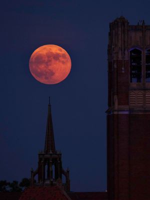 Image post by @UF on Twitter