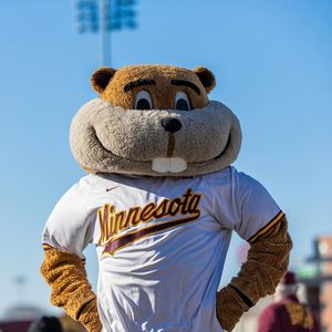 Image post by @GopherSoftball on Facebook