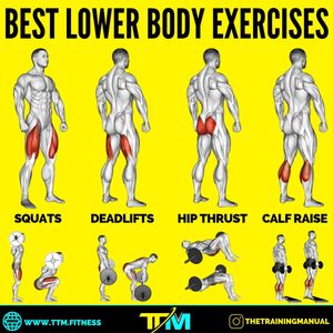 Image post by @thetrainingmanual on Instagram