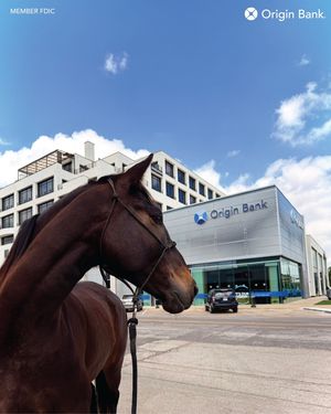 Image post by @originbank on Instagram