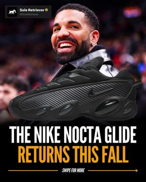 Image post by @soleretriever on Instagram