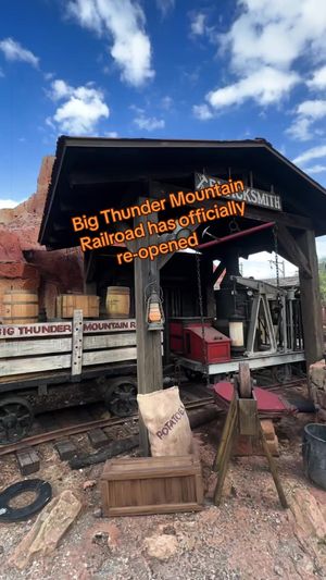 Video post by @disneyparks on TikTok