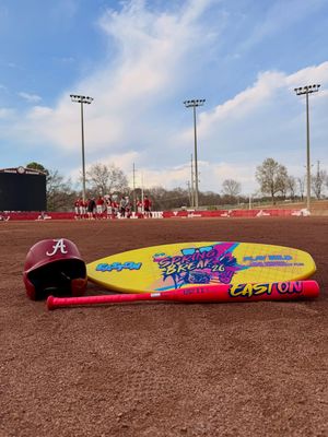 Image post by @bamasb on Instagram