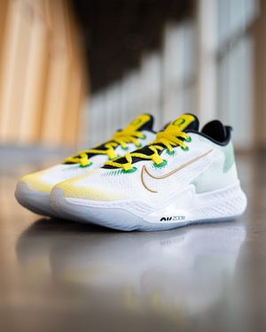 Image post by @GoDucks on Twitter