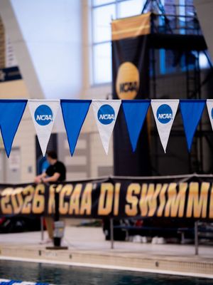 Image post by @harvardwswimdive on Instagram