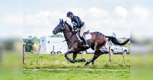 Image post by @nzhorseambulancetrust on Facebook