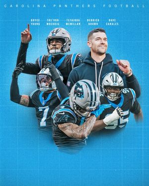 Image post by @panthers on Instagram