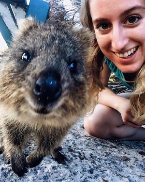 Image post by @cieestudyabroad on Instagram