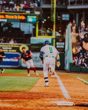Image post by @GoYardGoats on Twitter