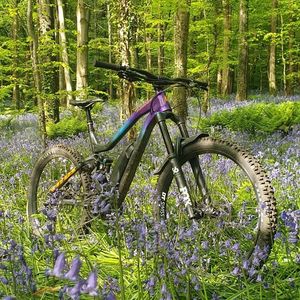 Image post by @vitusbikes on Instagram