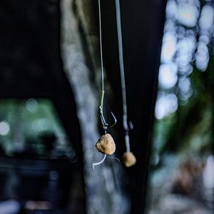 Image post by @brothercarp on Instagram