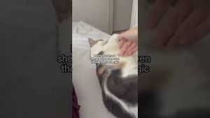 Video post by @claritin on YouTube