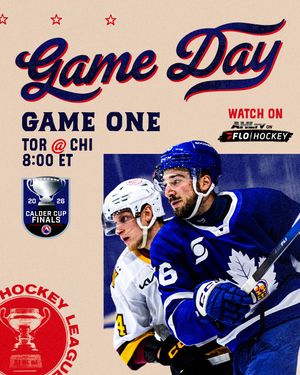 Image post by @theahl on Instagram