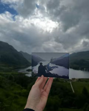 Image post by @melmadog on TikTok