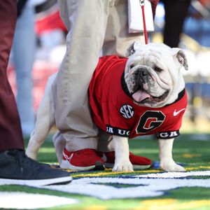 Image post by @espn_images on Instagram