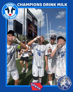 Image post by @theihsaa on Instagram