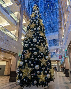 Image post by @cmcalgary on Instagram