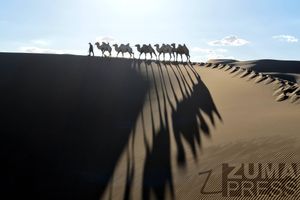 Image post by @zumapress on Instagram