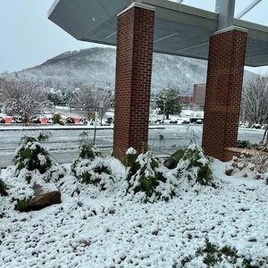 Image post by @SpringHillRoanoke on Facebook