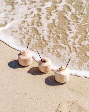 Image post by @fontainebleaumiamibeach on Instagram