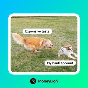 Image post by @moneylioninc on Instagram