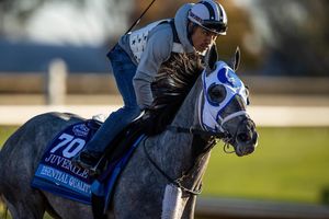 Image post by @breederscup on Instagram