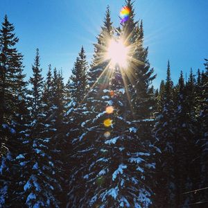 Image post by @beavercreek on Instagram
