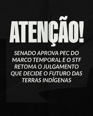 Image post by @anitta on Instagram