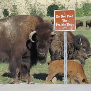 Image post by @nationalparkservice on Instagram