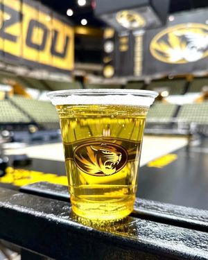 Image post by @mizzouvb on Instagram