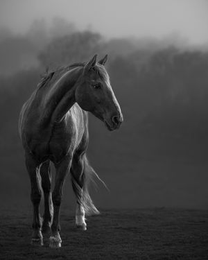 Image post by @canonusa on Instagram