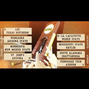 Image post by @gophersoftball on Instagram