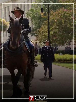 Video post by @wspatv on Facebook