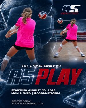 Image post by @a5vball on Instagram