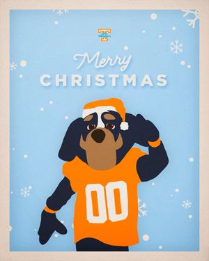 Image post by @vol_vball on Instagram