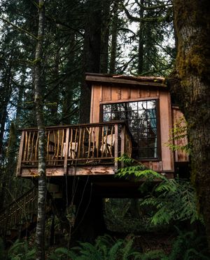 Image post by @treehousepoint on Instagram