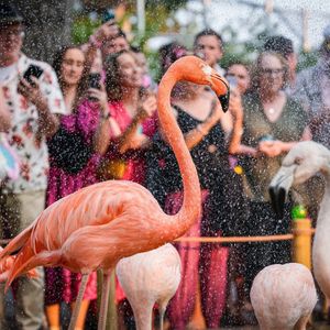 Image post by @denverzoo on Instagram