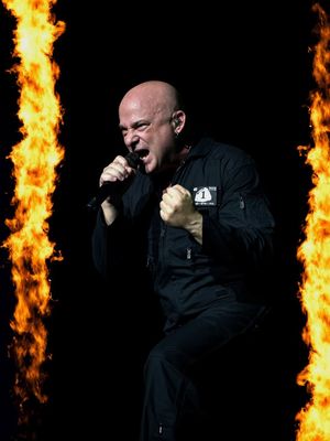 Image post by @davidmdraiman on Instagram