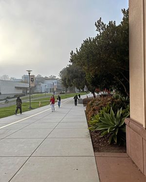 Image post by @ucsblife on Instagram